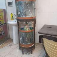 آکواریوم دوطبقه نیم گردباپایه و تمام لوازم
