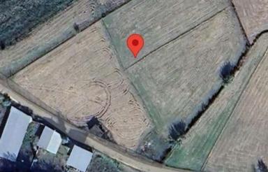 6600 متر زمین کشاورزی