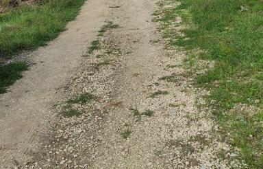 باغ مرکبات تامسون