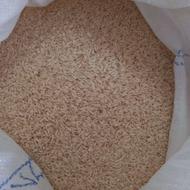 برنج هاشمی اصل