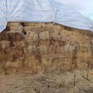 کاه پریس فروشی