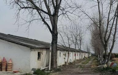 اجاره مرغداری 18 هزار قطعه ای