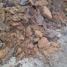 کود گوسفندی