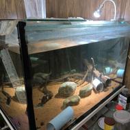 آکواریوم 100 در 100 در 50