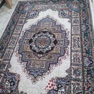 فرش 6متری 500شانه