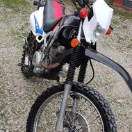 تریل جی وای مزایده