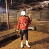 استخدام کارگر دایمی برای گوسفند داری،