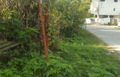 زمین داخل بافت