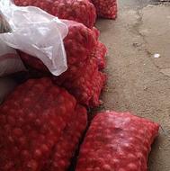 خوراک دامی طلایی