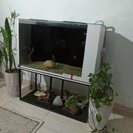 اکواریوم کامل با تمام تجهیزات و ماهی