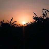 عکاسی فضای باز