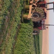 موور 185 ربانی