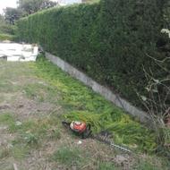 علفتراشی هرس بریدن درخت وکارهای باغبانی