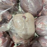 غذای بسته بندی شده برای سگ