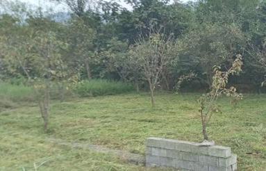 زمین باغی شهرکی