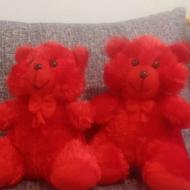 خرس ولنتاین