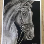 سفارش طراحی سیاه قلم دوبعدی و سه بعدی