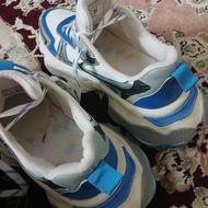 کفش بالنسیاگا