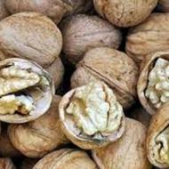 گردوی درجه یک همدان