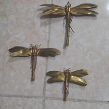 جیرجیرک طلایی