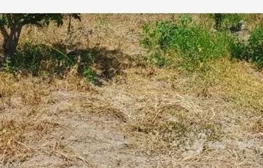 فروش قطعه باغ زراعی ویلایی