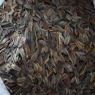 تخمه افتادم گردان اس 400