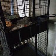 قفس دوطبقه آهنی خروس لاری