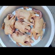 اردک درشت و تمیز