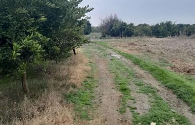 فروش زمین کشاورزی 1800 متر در جاده بهنمیر