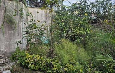 فروش زمین مسکونی 310 متر در سلامت سرا