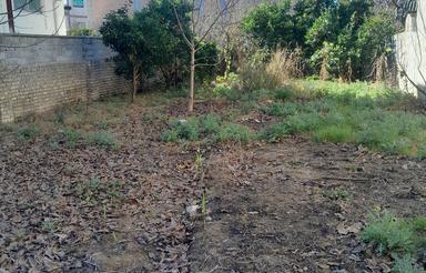  زمین مسکونی 239 متر در کفشگرکلا/عدالت 52