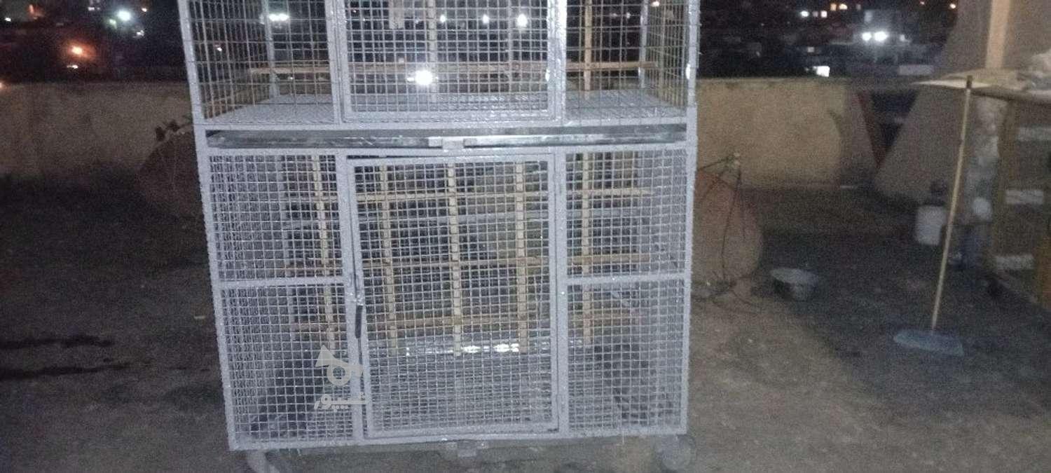 جویای کار ساختمانی - مهدی