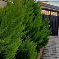 نیروی خدمات ویلا (پاره‌وقت)