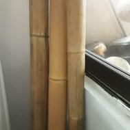 3 عدد بام بو ویگ سری گلریز و یگ گلدان بلند به فروش میرسد