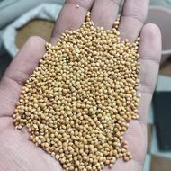 ارزن درشت درجه یک