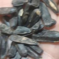 تخمه درجه 1 خام