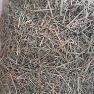 یونجهخردشده