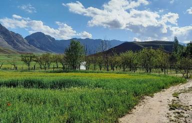 زمین معاوضه با وسیله