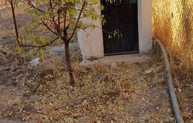 باغ فروشی بهاران