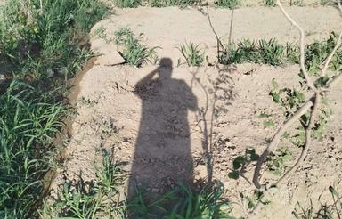 زمین باغی دارای سهمیه آب