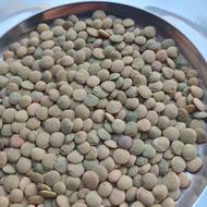 عدس بوجاری شده