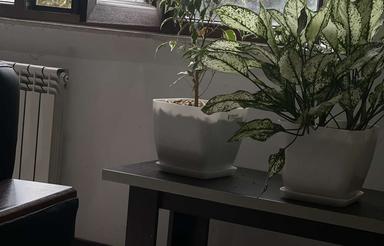 اجاره اشتراکی دفتر وکالت