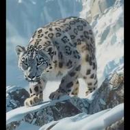 سیم 0912 کد8 خطی رند وچندسالی خاموش2488