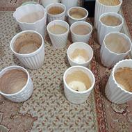 گلدون در حد تمیز