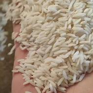 فروش برنج هاشمی از کشاورز