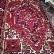 یک جفت فرش دستباف مهربان