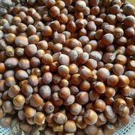 فندق ارگانیک الموت آفتاب خشک