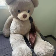 خرس 2 متری کاملا نو