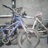 یک عدد دوچرخه ویوا در حد نو