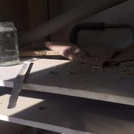 میز کامپیوتر